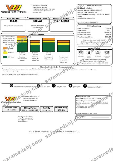 USA Nevada Waterloo North Hydro business utility bill template in Word and PDF formats